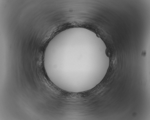 X0000114551012200911091151
