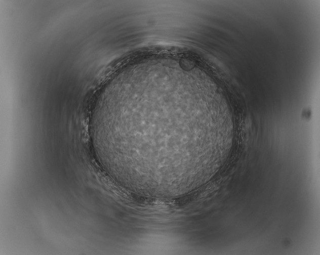 X0000114551013200911091151