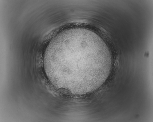 X0000114551014200911091151