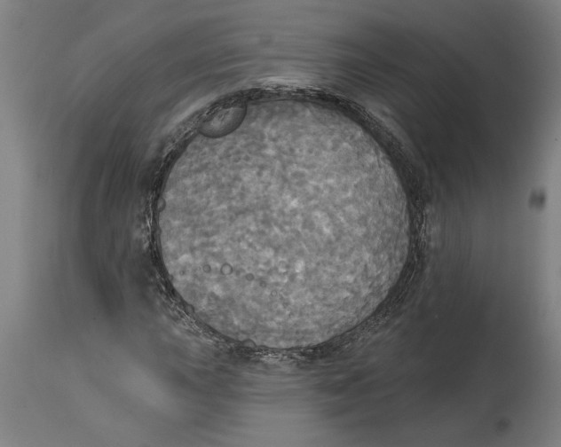 X0000114551015200911091151
