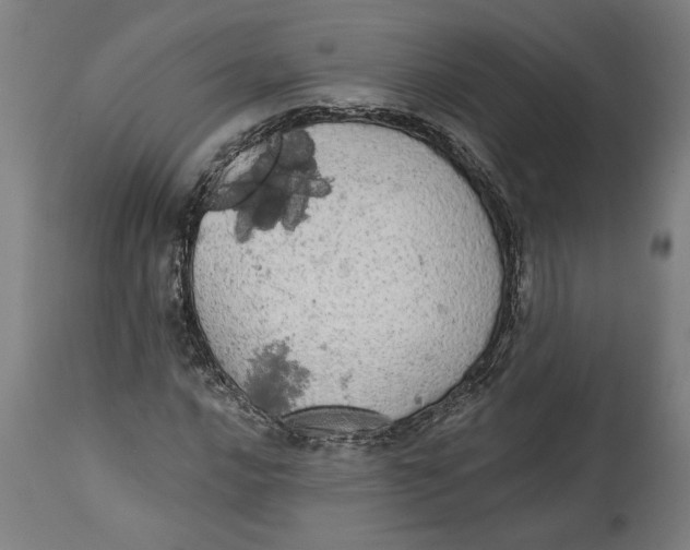 X0000114551016200911091151