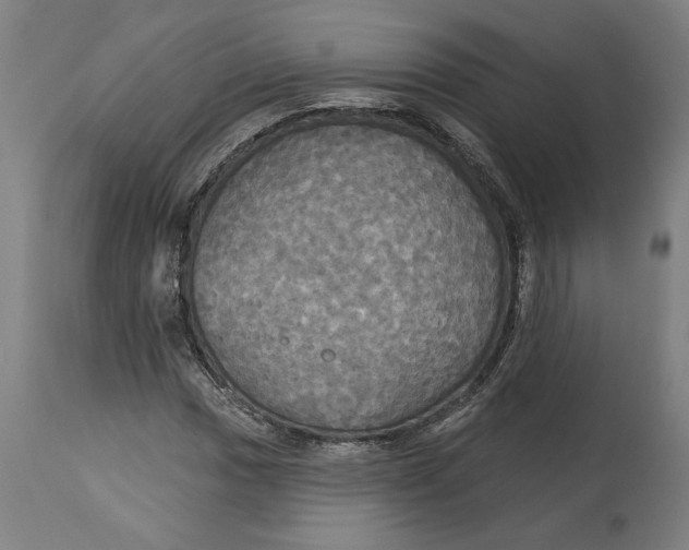 X0000114551017200911091151