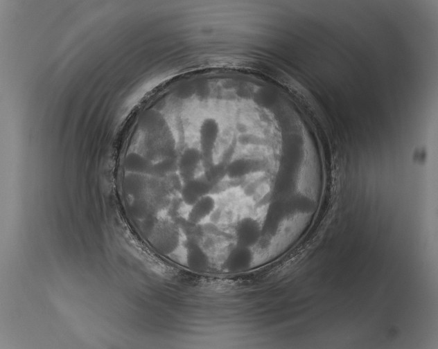 X0000114551019200911091151