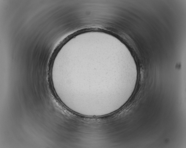 X0000114551020200911091151