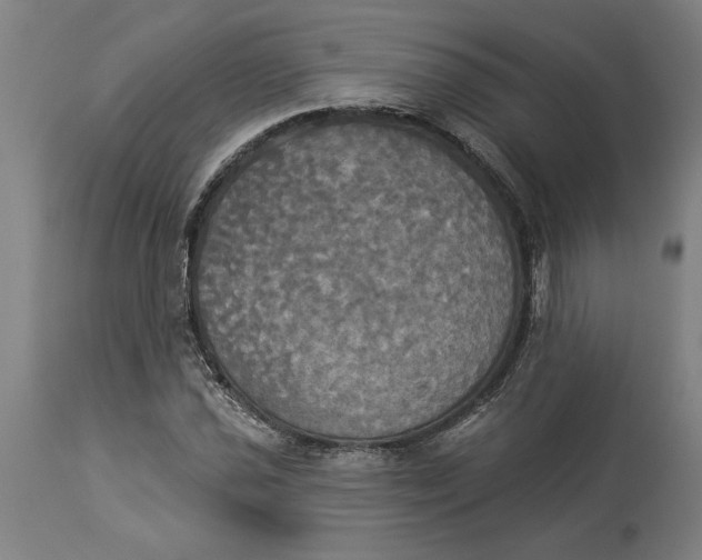 X0000114551021200911091151