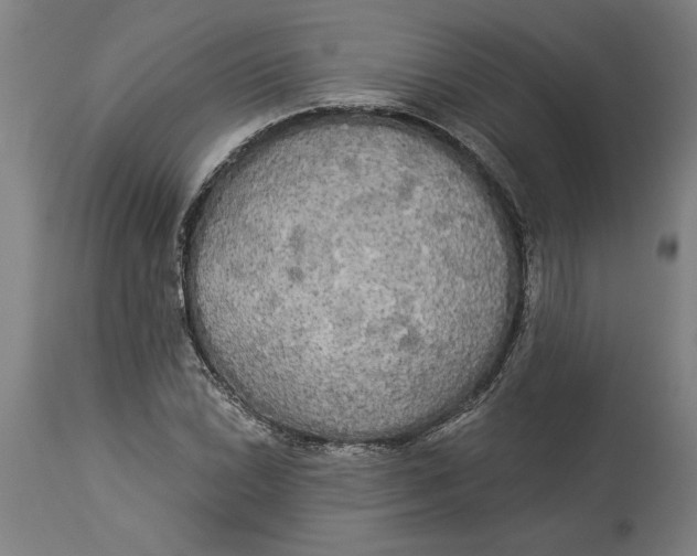 X0000114551022200911091151