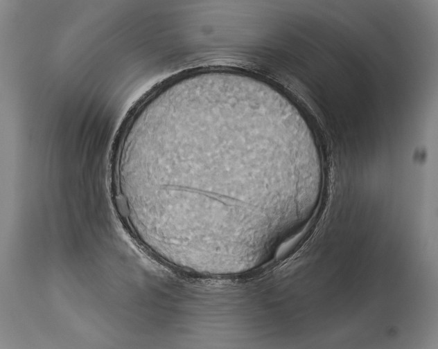 X0000114551024200911091151