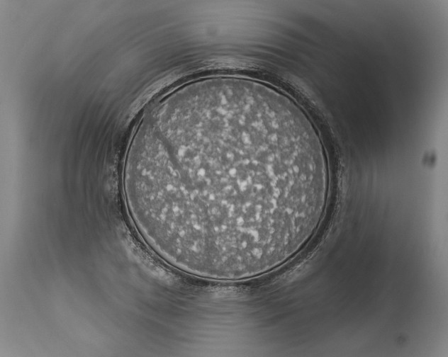 X0000114551025200911091151