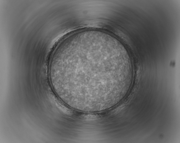 X0000114551027200911091151