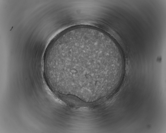 X0000114551028200911091151