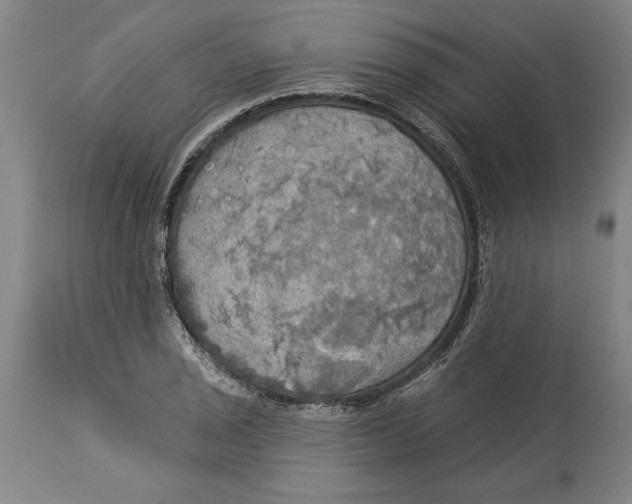 X0000114551029200911091151
