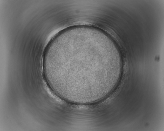 X0000114551030200911091151