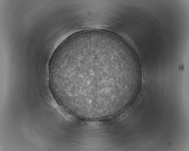 X0000114551031200911091151