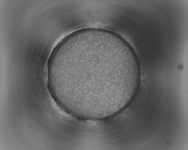 X0000114551032200911091151