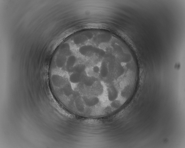 X0000114551033200911091151