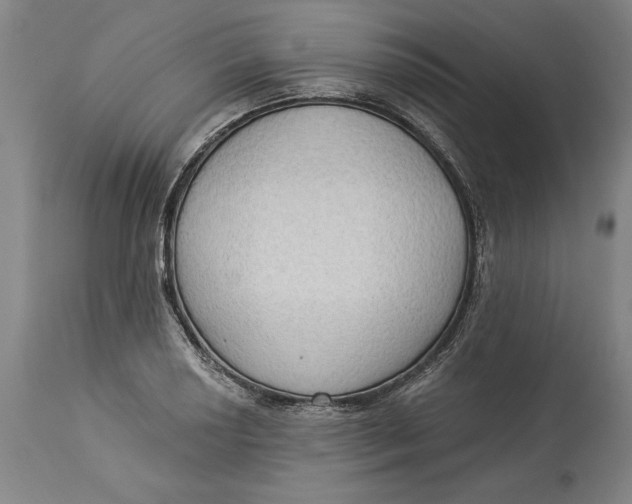 X0000114551034200911091151