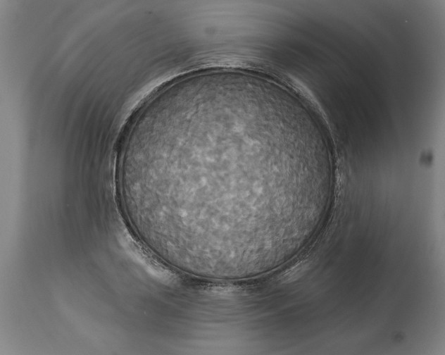 X0000114551035200911091151