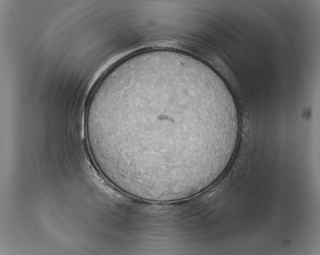X0000114551036200911091151