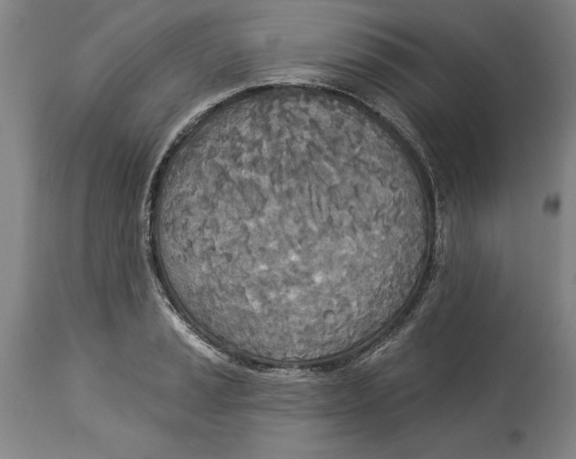 X0000114551037200911091151