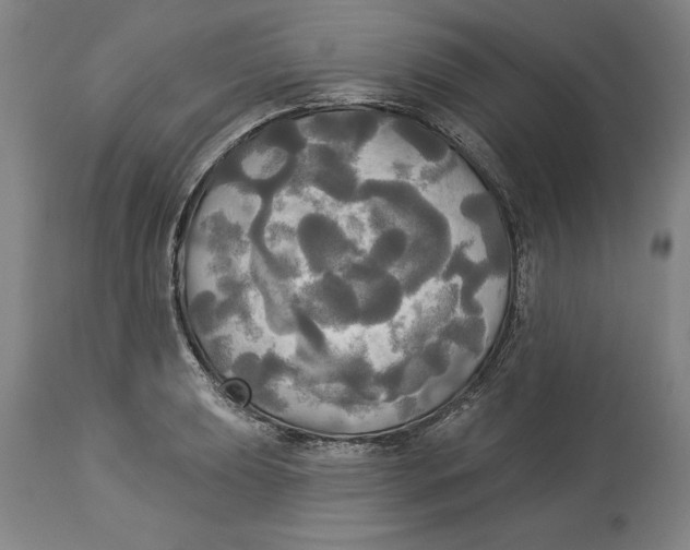X0000114551039200911091151