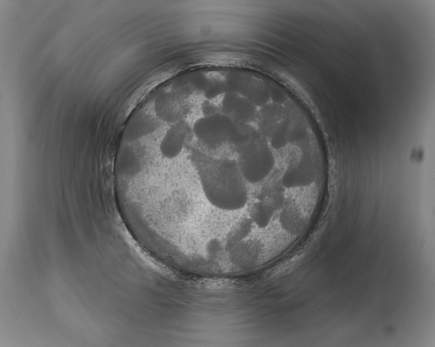 X0000114551041200911091151