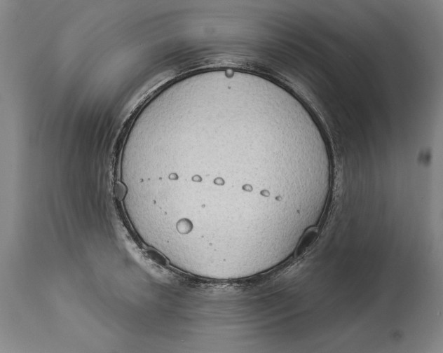 X0000114551042200911091151