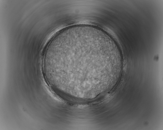 X0000114551043200911091151