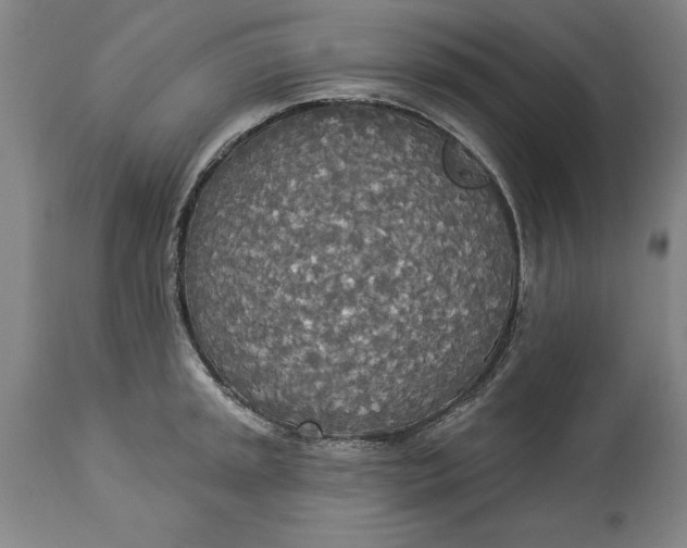 X0000114551045200911091151