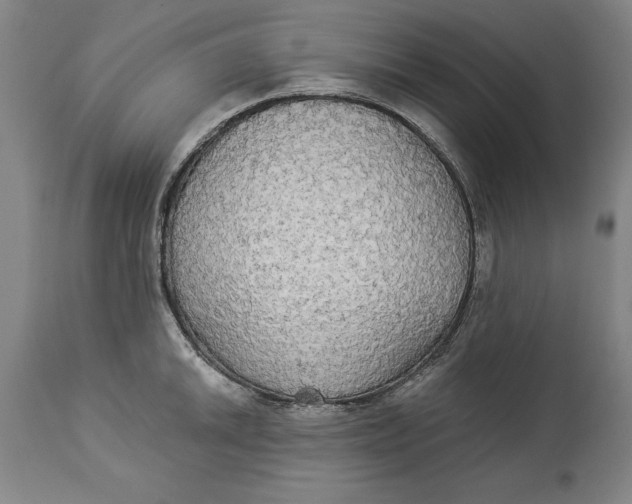 X0000114551046200911091151