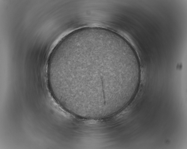 X0000114551048200911091151
