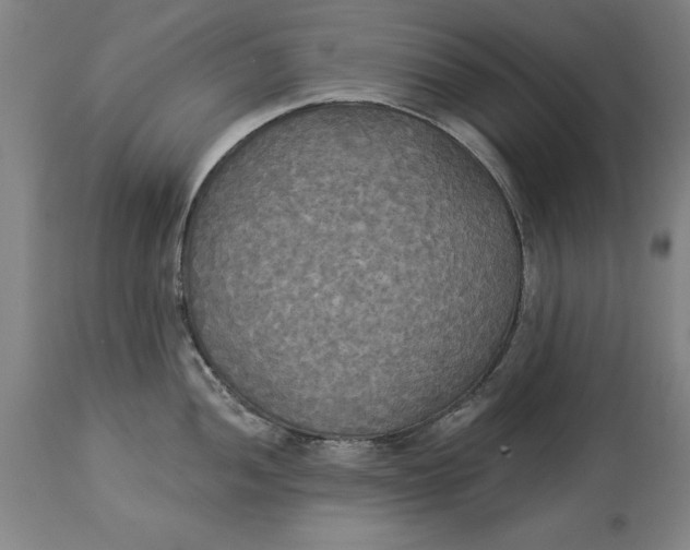 X0000114551052200911091151
