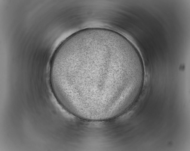 X0000114551053200911091151