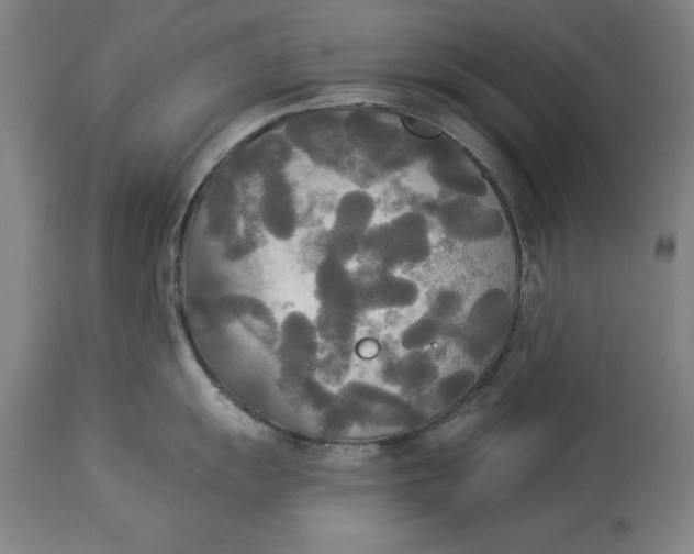 X0000114551055200911091151