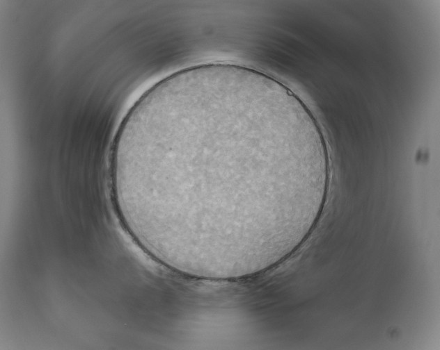 X0000114551056200911091151