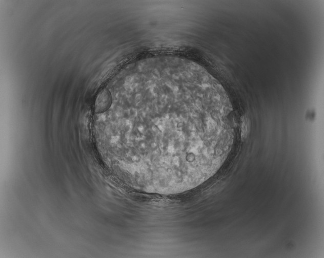 X0000114551059200911091151