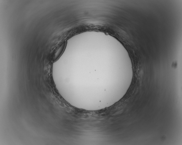 X0000114551061200911091151