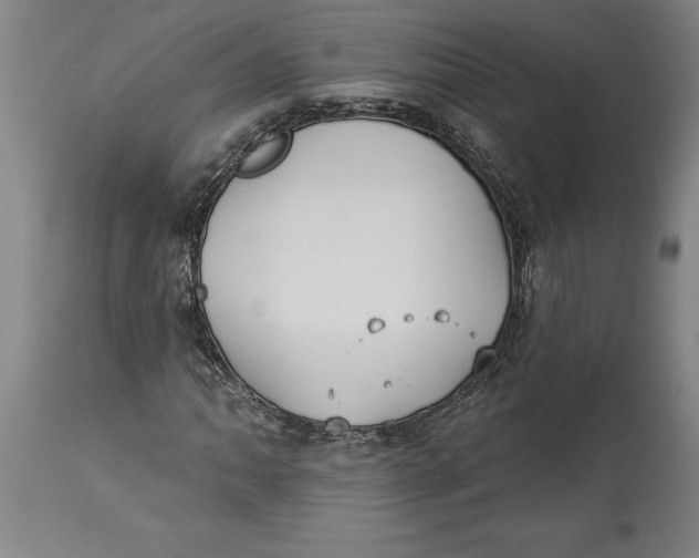 X0000114551062200911091151
