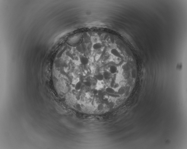 X0000114551063200911091151