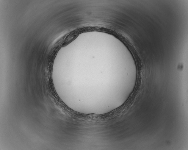 X0000114551064200911091151