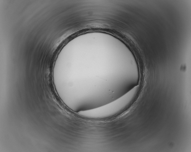X0000114551065200911091151