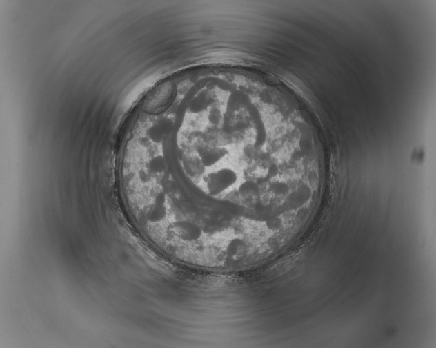 X0000114551067200911091150