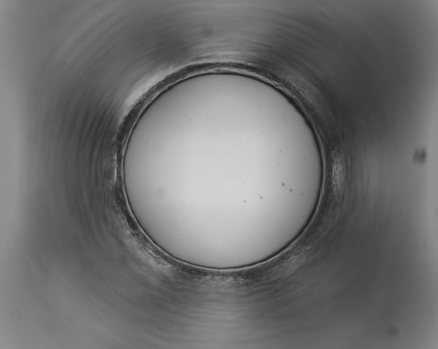 X0000114551069200911091150