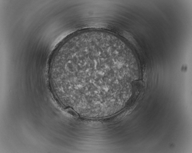 X0000114551071200911091150