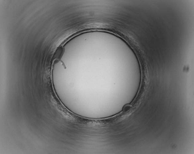 X0000114551073200911091150