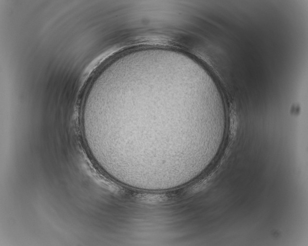 X0000114551074200911091150