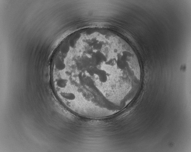 X0000114551075200911091150