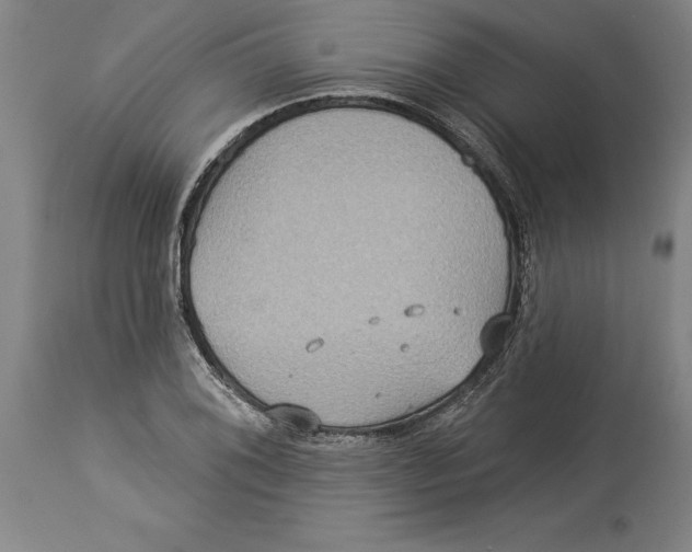 X0000114551076200911091150