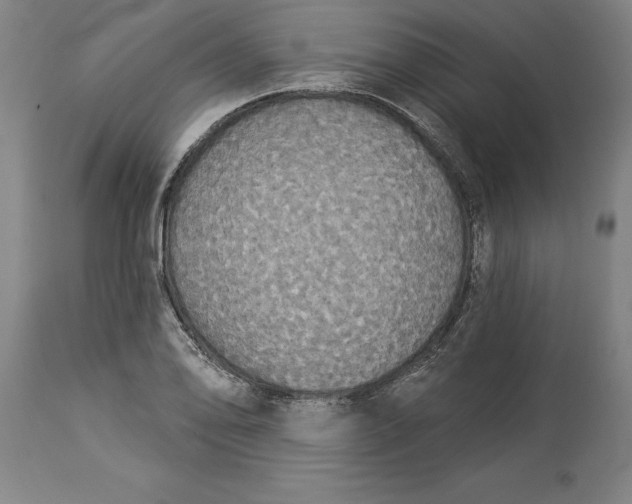 X0000114551078200911091150