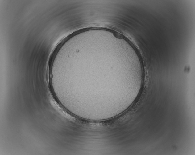 X0000114551080200911091150