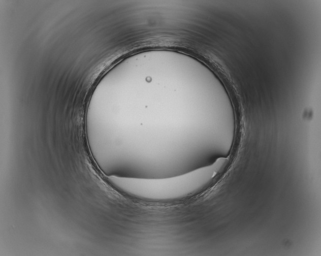 X0000114551081200911091150